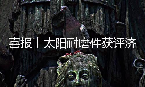 喜报太阳耐磨件通过此次认定