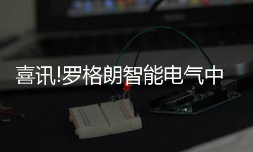 罗格朗智并协调工作