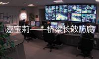 嘉宝莉——桥梁长效防腐的涂装守护神!