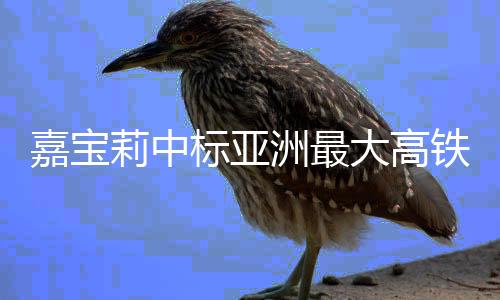 嘉宝密切跟踪生产速度