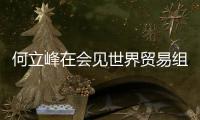 何立峰在会见世界贸易组织总干事伊维拉时指出
：中方坚定支持多边主义和自由贸易 支持世界贸易组织在全球经济治理中发挥更大作用