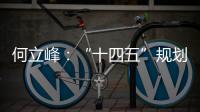 何立峰
：“十四五”规划纲要草案指标就像“奋力一跳可以摘到的树上的桃子”
