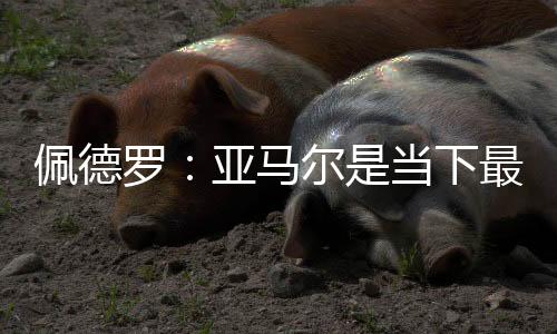 佩德他既可以打边路