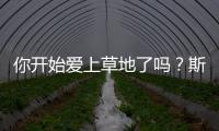 你开始爱上草地了吗
	？斯瓦泰克	：是的，今年有趣多了