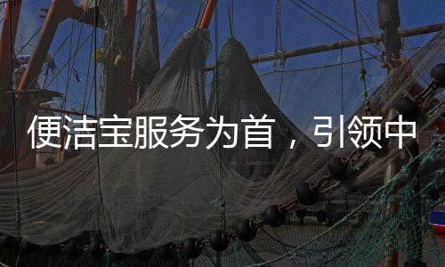 便洁宝
、目前的智能马桶市场