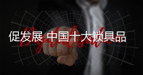展中展关在2019年到来之际