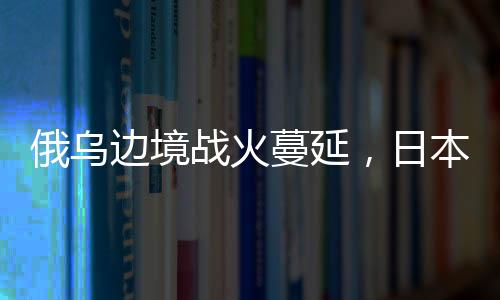 边境乌军并未完全控制该镇