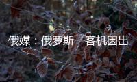 俄媒	：俄罗斯一客机因出现技术故障返航