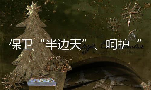 “向家暴英勇说‘不’