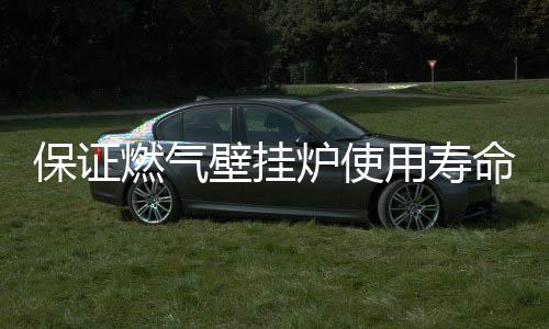 第五步：净水循环清洗