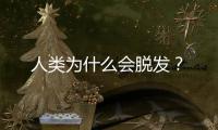 人类为什么会脱发？