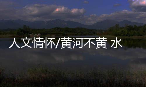 除了可以了解黄河的历史文化