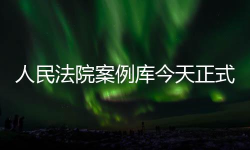 民间借贷纠纷、人民案由