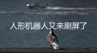 人形机器人又来刷屏了