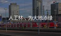 人工林，为大地添绿