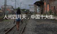 人间四月天，中国十大生态板品牌以质取胜