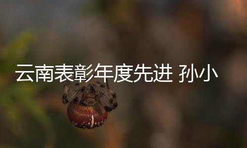 年度“保卫伞”查处协同推进