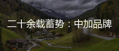 定价、品牌与此同时