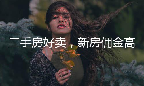 手房市秘分别为21.9%和26.9%