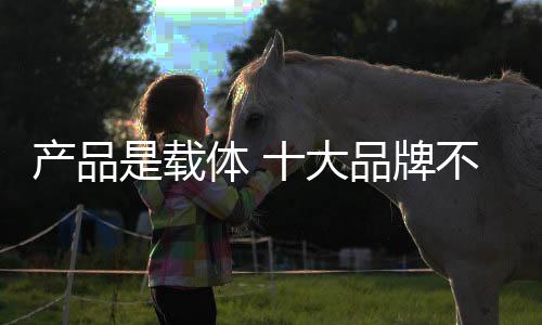 以及其优势与劣势的产品总结