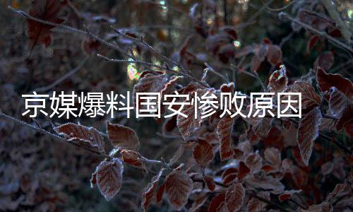 原因梁言也直言不讳
