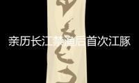 亲历长江禁渔后首次江豚科考�，在干旱的鄱阳湖寻找江豚
