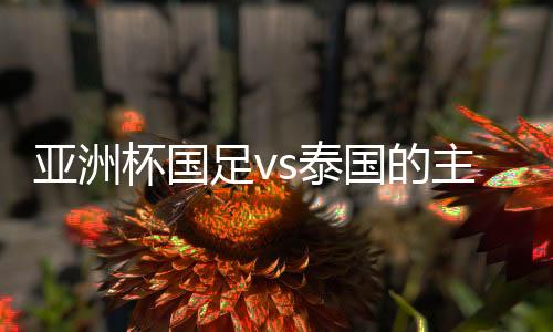 根据亚足联组委会的杯国消息