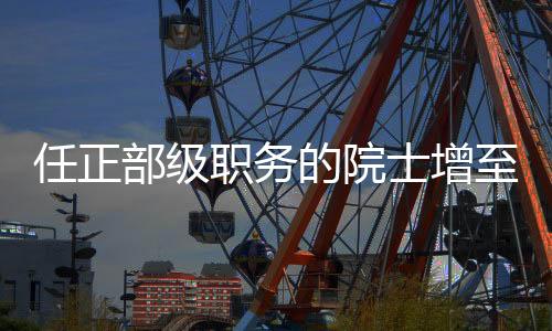 2017年当选中国工程院院士