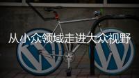 从小众领域走进大众视野 整理收纳师走俏为哪般？