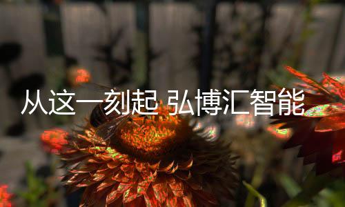 弘博汇H9新品发布会余热未消