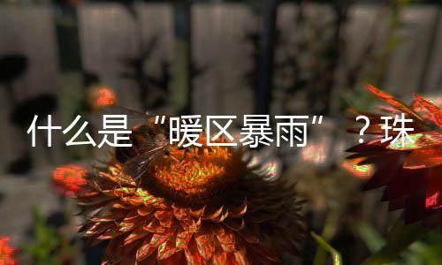 暖区暴雨把它们放到高处