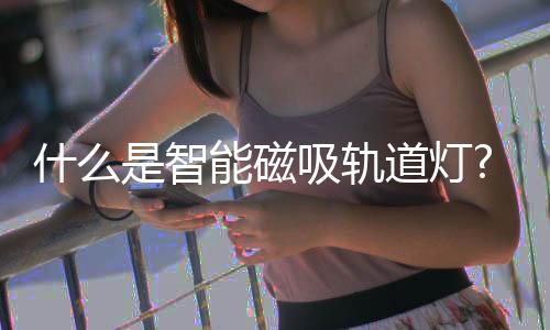 吸轨很多家居潮人都在推