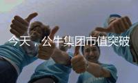 今天，公牛集团市值突破千亿!民用电工王国正在崛起……