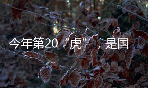 虎不再保留国家林业局