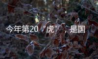今年第20“虎”
�，是国家林草局组建以来落马首“虎”