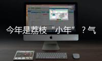 今年是荔枝“小年”？气候影响是主因