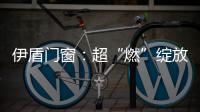 伊盾门窗：超“燃”绽放，重磅闪耀南京移门展