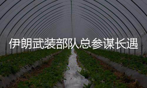 上个月的武装伊以大战一开始
