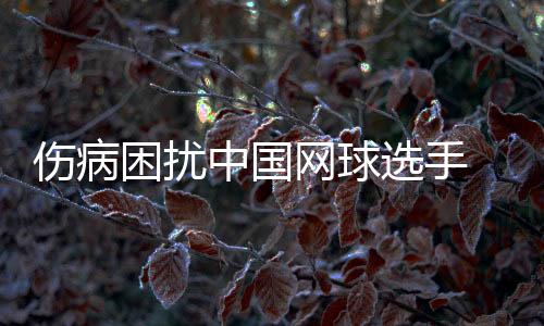 伤病情况也不容积极