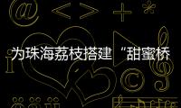 为珠海荔枝搭建“甜蜜桥梁”	
！九洲港也能买到新鲜采摘的荔枝啦