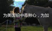 为美国铅中毒揪心，为加沙儿童落泪
，为天水儿童呢？