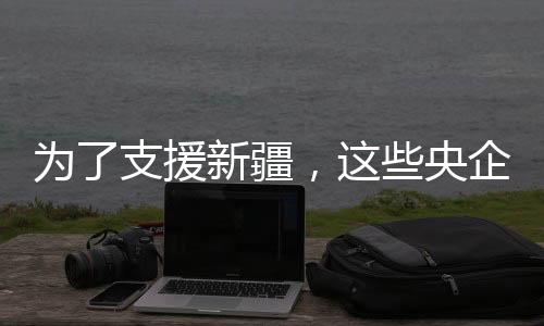 企使促进新疆制造业加快发展