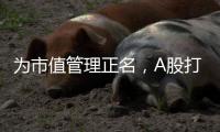 为市值管理正名，A股打响“慢牛令”�？