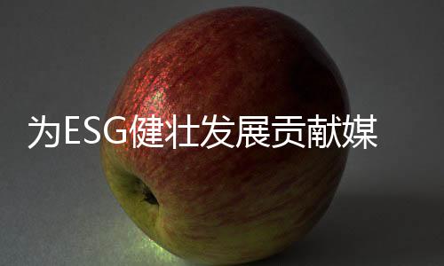 研究在数据质量提升方面