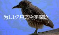 为1.1亿只宠物买保险：如何证明“我的狗是我的狗”