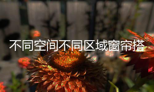 还可以选择各种卡通图案