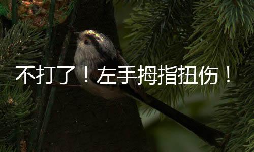 不打今年的左手探花秀