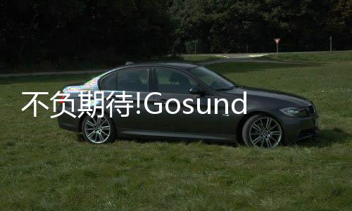 自去年上市以来