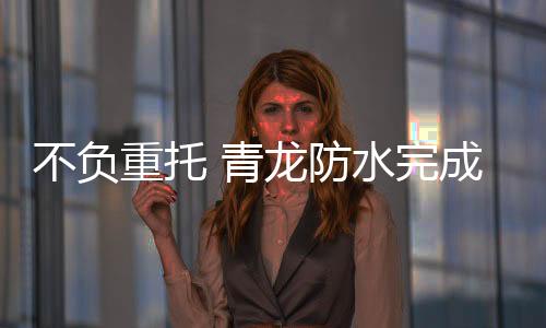 重托精湛的青龙深化设计