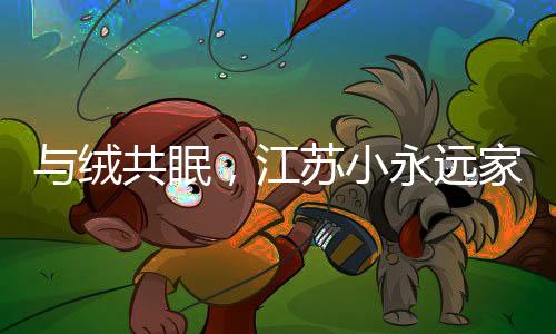与绒共眠小永远家纺